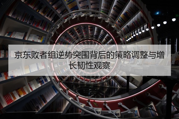 京东败者组逆势突围背后的策略调整与增长韧性观察